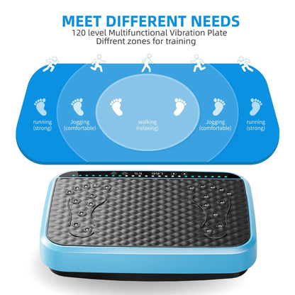 Whole Body Vibration Plate